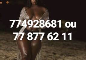 Nehhk badio meune katte a parcelle 774928661